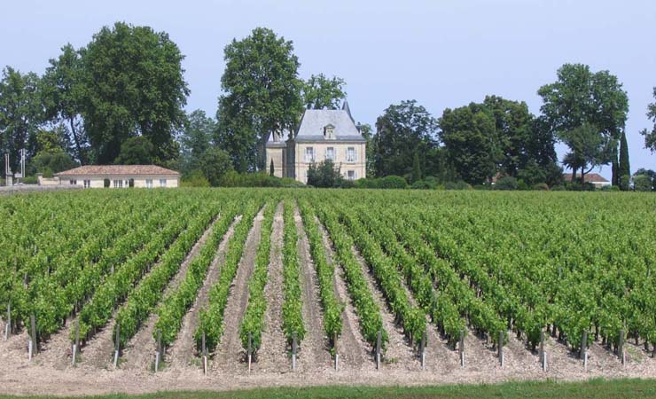 Cycle Tour Around Bordeaux And Its Greatest Vineyards